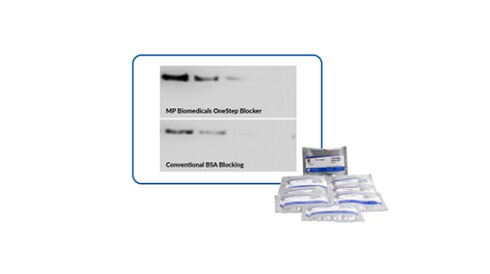 Blotting & Imaging
