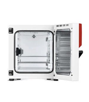 BINDER™ Serie BD Avantgarde.Line - Standardinkubator, med naturlig konvektion