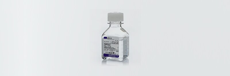 Shop primary cells and disease modeling 