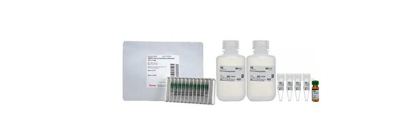 Proteomics