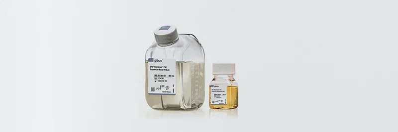 Produkter för stamceller, neurovetenskap och cellterapi