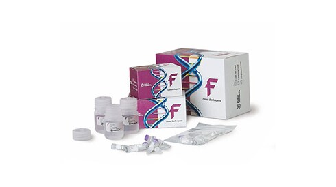 DNA Polymerases