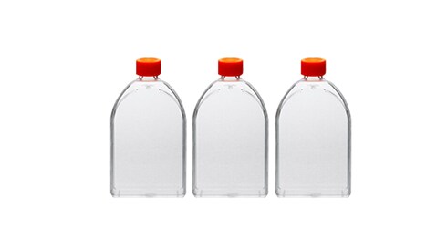 Cell Culture Flasks