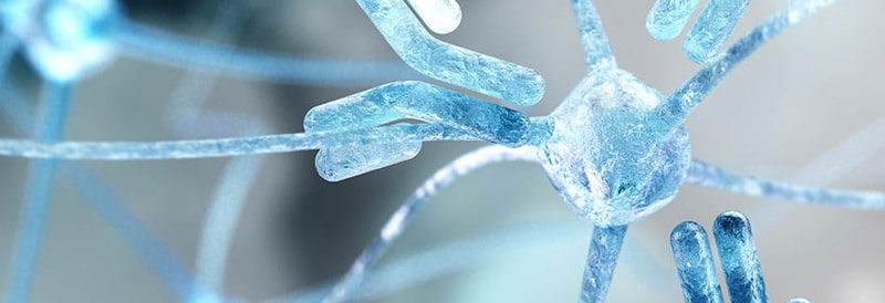 Antibodies