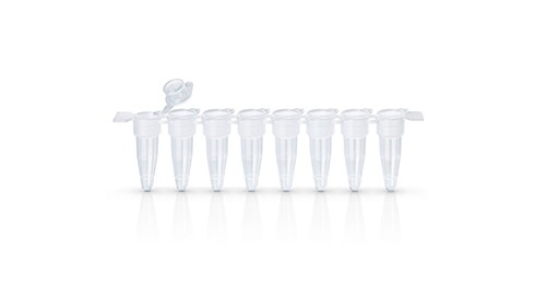 PCR Tubes