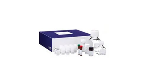 Cell Structure Reagents and Kits