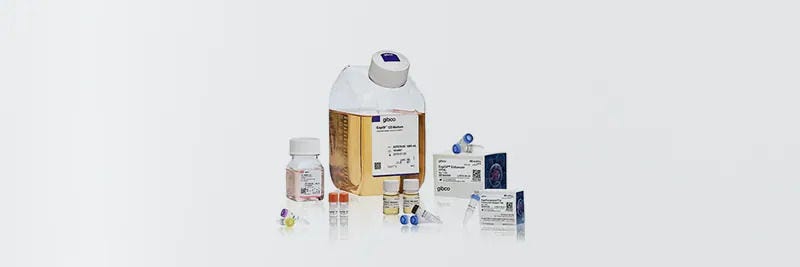 Proteinuttryck