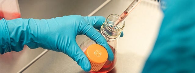 Biokemiska och cellbaserade analyser
