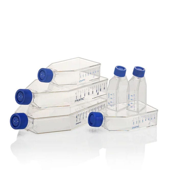 Cell Culture Flasks