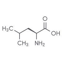 Leucine