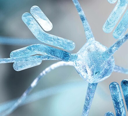Antibodies