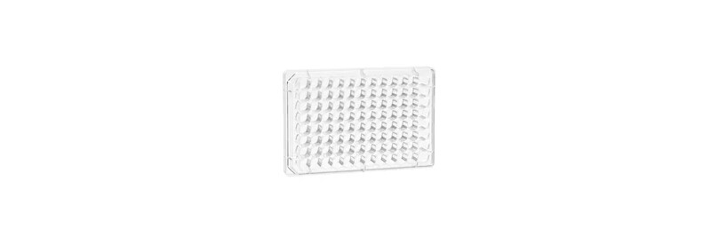 Cell Culture Dishes