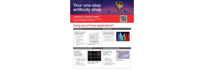 Antibody Essentials Flyer