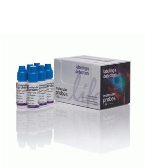 Invitrogen™ NucBlue™ Live ReadyProbes™-reagens