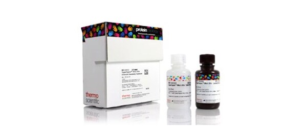 Chemiluminescent Detection