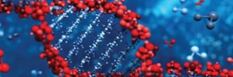 Life Sciences