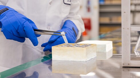 Lab Labels