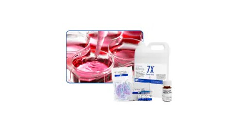 Mammalian Cell Culture