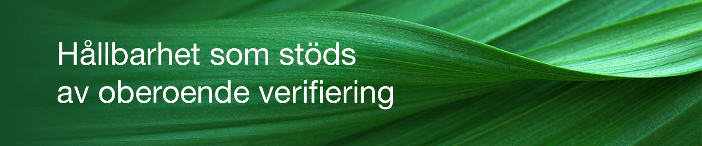 Greener Choice Banner