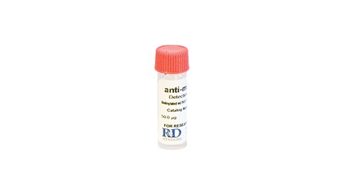 Donkey Secondary Antibodies