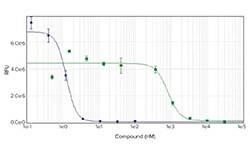 Cytokine Analysis