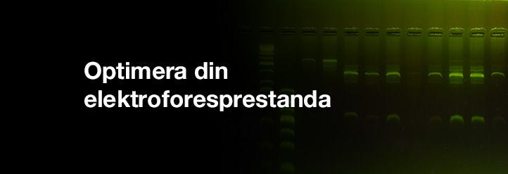 Optimera din elektroforesprestanda