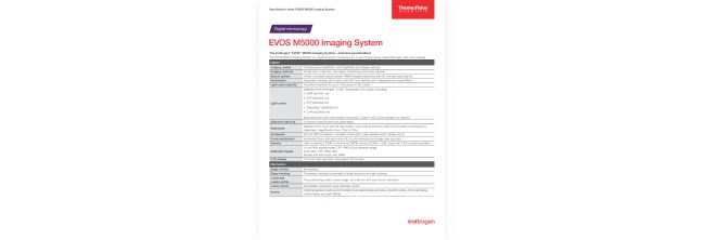 PDF Image