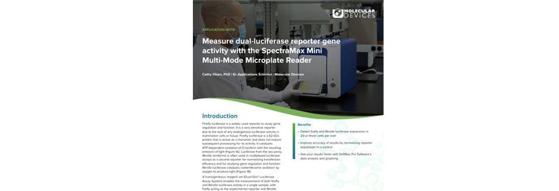 Measure Dual-Luciferase Reporter Gene Activity