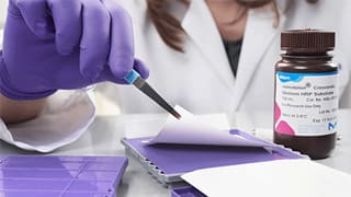 Rethink Western Blotting