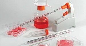 Cell Culture Seed