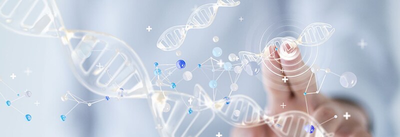 Life Sciences