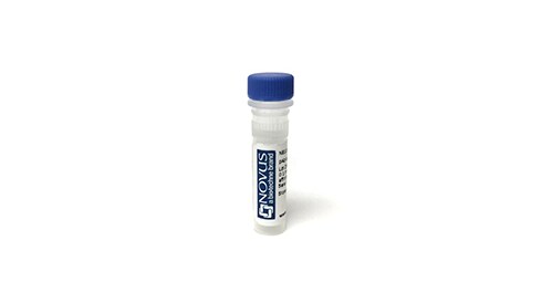 Bovine Secondary Antibodies