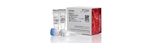 Invitrogen™ DNase I, Amplification Grade