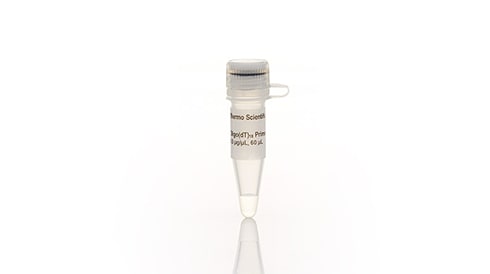 Oligonucleotides