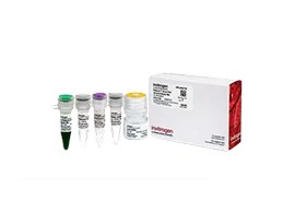Hot Start PCR Reagents and Kits