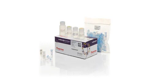 PCR and qPCR
