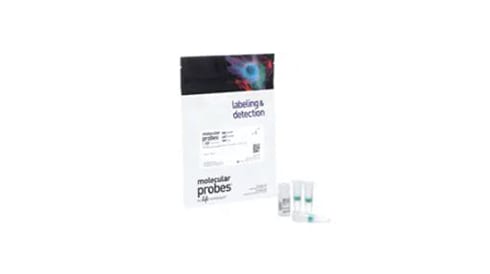 Antibody Production and Purification Reagents and Kits