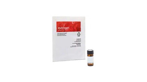 Protein Labeling Reagents