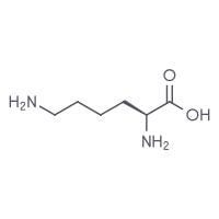 Lysine
