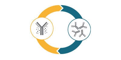 25629_Brand_C3_P1_Image1