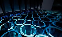 Reporter Gene Assays