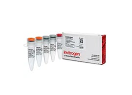 One-Step Reverse Transcription PCR Reagents