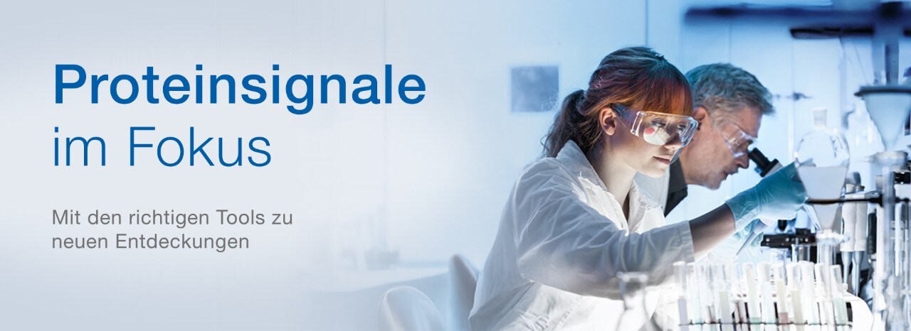 24148_Focus_on_Protein_Analysis_banner_page_desktop_DE 24148_Focus_on_Protein_Analysis_banner_page_desktop_DE