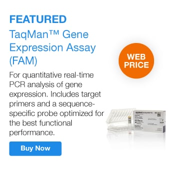 Featured product