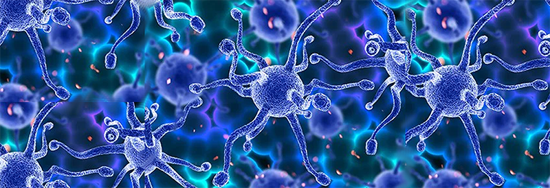 The Fight Against Antimicrobial Resistance: An Urgent Global Challenge