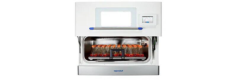 Accelerate Your Growth