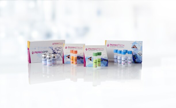 25242_Product_Showcase_Application_img_2 25242_Product_Showcase_Application_img_2