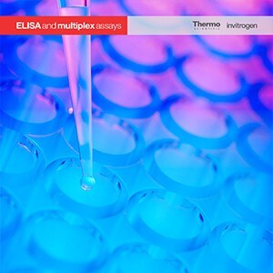 protein-quantitation protein-quantitation