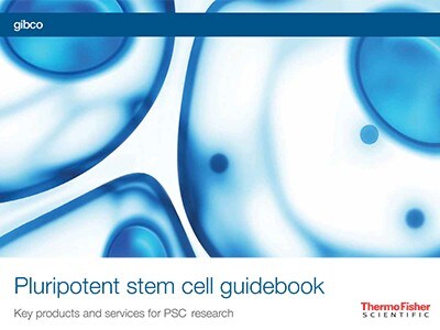 pluripotent-stem-cell pluripotent-stem-cell