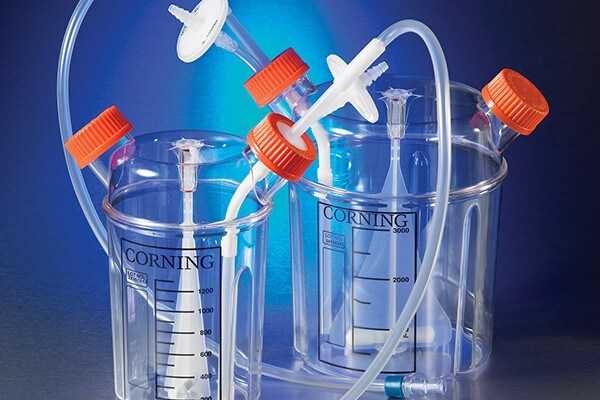 Bioproduction
